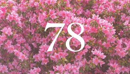 A vibrant azalea bush in full bloom, showcasing seasonal beauty, Spring Equinox