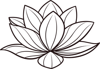 Rajnigandha Flower Illustration Set. Rajnigandha Botanical Line Art. Rajnigandha Floral Outline Design. Elegant Rajnigandha Flower Artwork. Rajnigandha Bloom Illustration Pack. Rajnigandha Flower