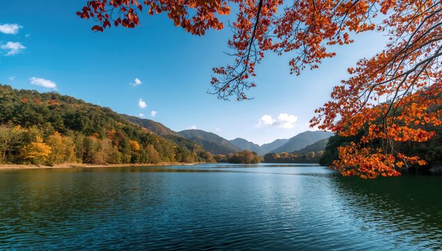 Natural scenery at Xiaoqikong scenic spot featuring lush forests and waterways, showcasing autumn's vibrant colors, preservation
