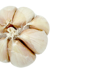 Minimalist whole garlic bulb isolated on white background with copyspace