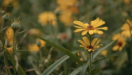 A vibrant flower showcasing its unique shape and bright colors, a celebration of springtime beauty