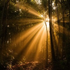 Obraz premium Intense tropical heat filtering through the dense canopy of the jungle during the peak of the warm season ,jungle floor ,daylight ,remote