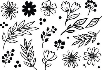 Hand drawn floral elements vector illustration