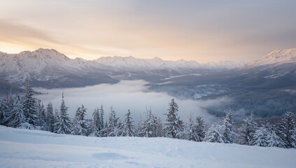 Fototapeta premium Winter landscape in the snowy mountains, seasonal change
