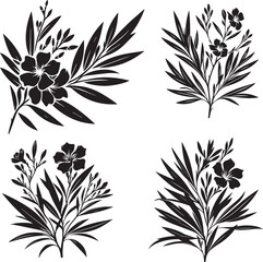 Black and White Oleander Blossom Vector Set Botanical Illustration Isolated.
