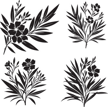 Black and White Oleander Blossom Vector Set Botanical Illustration Isolated.
