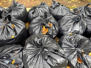 This photo shows several black plastic bags filled with trash and fallen leaves, placed outdoors after seasonal yard cleaning. The scene highlights autumn maintenance, responsible waste collection, an