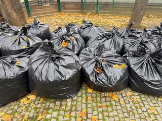 This photo shows several black plastic bags filled with trash and fallen leaves, placed outdoors after seasonal yard cleaning. The scene highlights autumn maintenance, responsible waste collection, an
