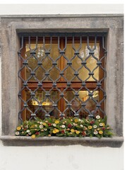 Christmas garland of pine needles and dried fruits on the window