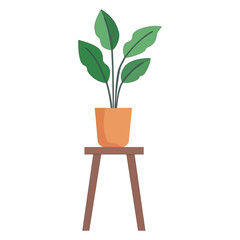 Potted houseplant on a wooden stool