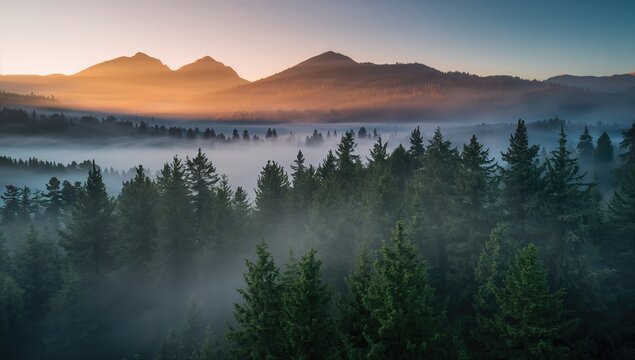 Misty landscape featuring a spruce forest at dawn in mountainous terrain, highlighting seasonal change - Powered by Adobe