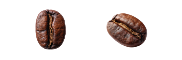 Coffee bean close-up images organic food photography natural light studio setting