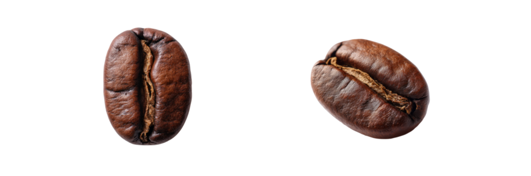 Coffee bean close-up images organic food photography natural light studio setting