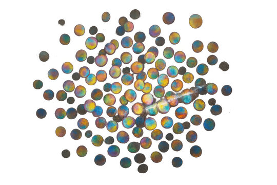 Colorful bokeh light effect overlay transparent background, creating vibrant rainbow iridescent abstract circles with glare