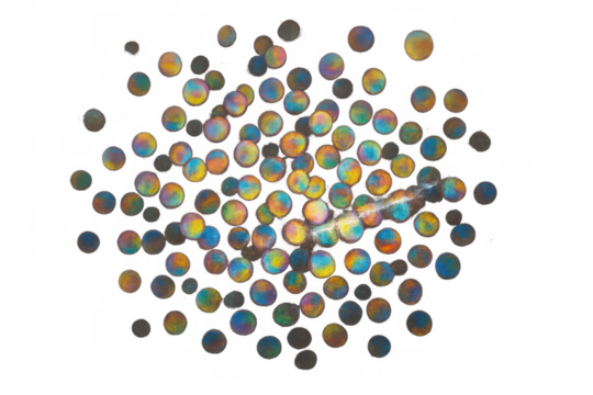 Colorful bokeh light effect overlay transparent background, creating vibrant rainbow iridescent abstract circles with glare