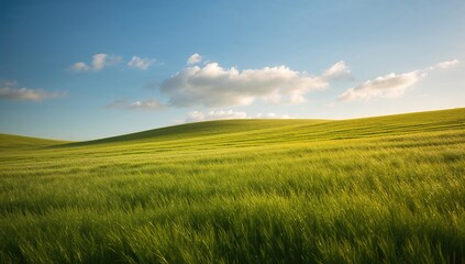 Fototapeta premium A lush green landscape under a bright blue sky with fluffy white clouds, promoting a sense of tranquility