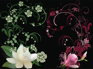 pink and white magnolia curled designs isolated on black background