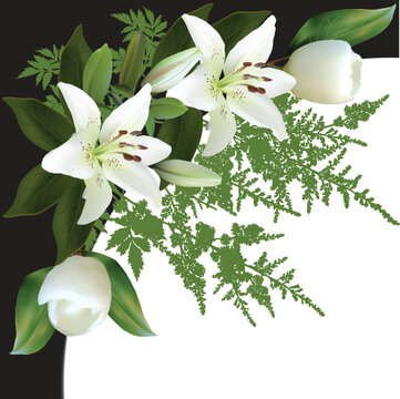 white lily flowers on white and black background
