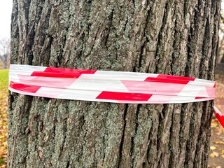 Barrier tape on a tree in a park