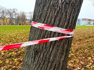 Barrier tape on a tree in a park