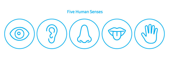 Five human senses editable stroke outline icons set. Flat vector illustration of human senses including ear, eye, nose, lips, and hand in minimalist design style. Vector illustration eps