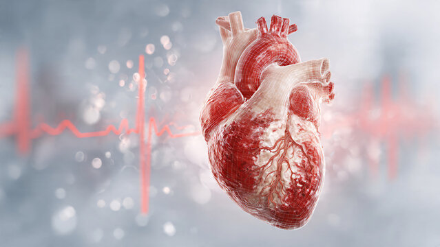 High Blood Pressure Impact on Heart