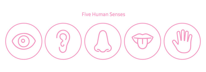 Five human senses editable stroke outline icons set. Flat vector illustration of human senses including ear, eye, nose, lips, and hand in minimalist design style. Vector illustration eps
