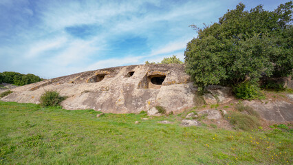 Prehistoric Domus de Janas of Genna Salixi Carved into Rocky Terrain