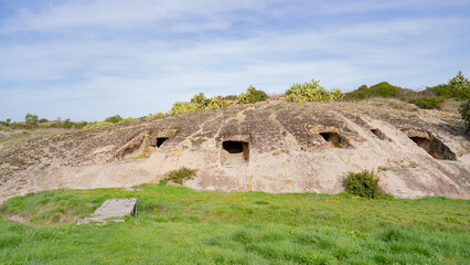Prehistoric Domus de Janas of Genna Salixi Carved into Rocky Terrain