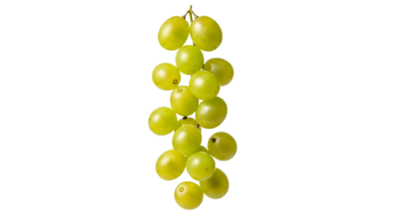 Bunch of Green Grapes Hanging on Black Background fruit