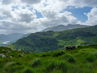Fototapeta premium There's a beautiful view of the mountains and plants in Gap of Dunloe, County Kerry, Ireland.