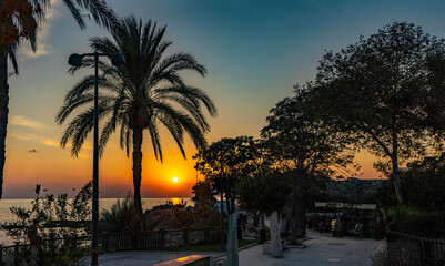 A tall palm tree silhouetted against a gradient orange-blue sunset sky with sun disk, people on rocky outcrop and promenade in twilight. Side, Antalya, Turkey.