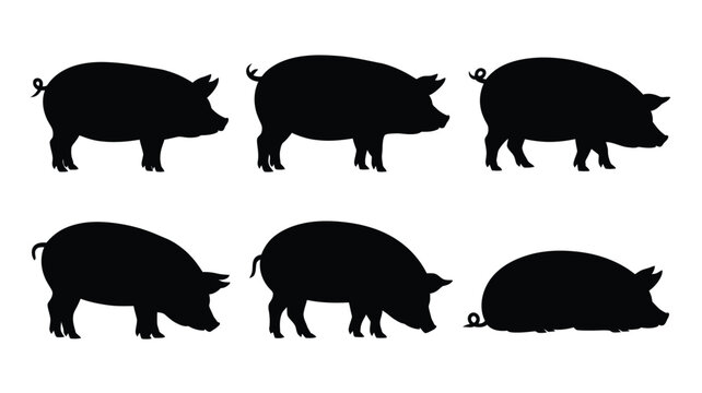 Six distinct black pig silhouettes showcasing different poses and movements, perfect for farm or agricultural themes