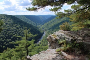 Breathtaking Summer Panorama of Pennsylvania Grand Canyon: Lush Foliage and Majestic Mountains in a Natural Hiking Environment