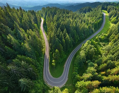 aerial shot of a curved road cutting through a verdant forest perfect for nature enthusiasts