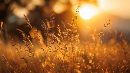 Dreamlike Sunrise Over Mountain Meadows: Radiant Sunrays and Golden Bokeh in a Bright Countryside Landscape