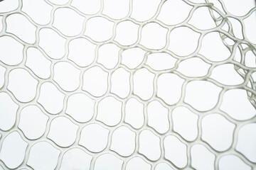 Transparent Silicone Mesh on White Background (Macro)