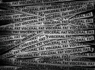 Strips of newspaper with the words Visceral Fat typed on them. Black and white. Close up.