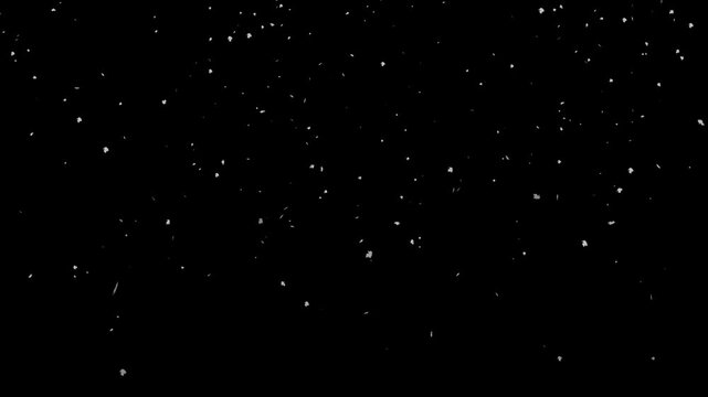 Fine winter snow falls realistically in slow motion against a clean isolating black screen. This versatile visual element can represent a festive mood or quiet seasonal change.