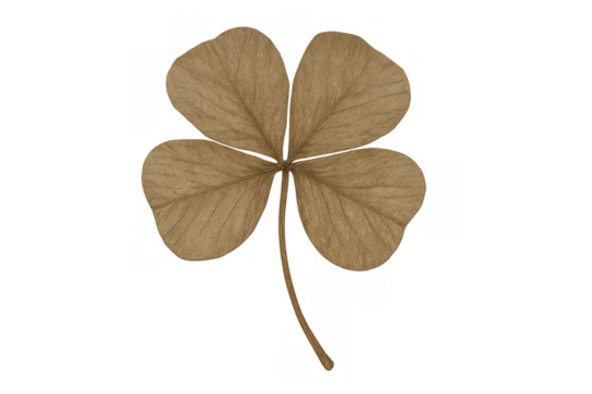 Pressed four-leaf clover symbolizing luck and fortune, dried natural plant leaf on transparent background