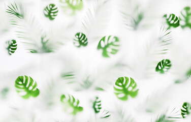 light background of frosted glass wall with green tropical leaves, room decoration