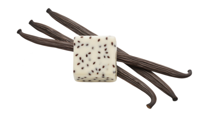Close-up of a vanilla bean and a square piece of cookies and cream flavored chocolate with black specks on a white background, high detail and clarity