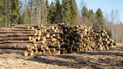Harvesting or felling of forests for furniture production