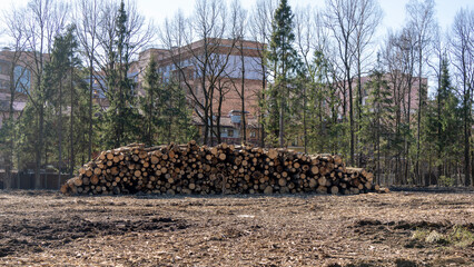 Harvesting or felling of forests for furniture production