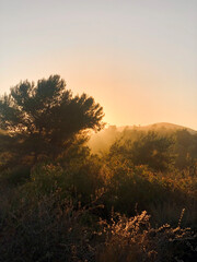 sunset in the mountains