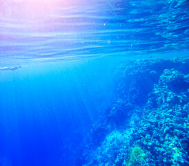 Beautiful view of the sea underwater with fish