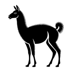 Fototapeta premium Guanaco art in black and white, a silhouette of vicugna guanicoe against clear background. Guanaco stands gracefully, its form perfect for wildlife designs and ecological illustrations.