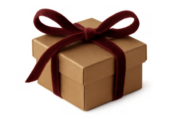 Small brown cardboard gift box wrapped with a dark red velvet ribbon and bow, representing celebration and presents. Transparent background