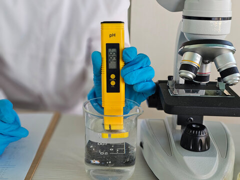 Measuring pH levels of water using a digital pH meter in a laboratory
