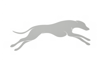 Greyhound dog silhouette running quickly. Pet animal showing speed and athleticism, designed for concepts of movement and agility